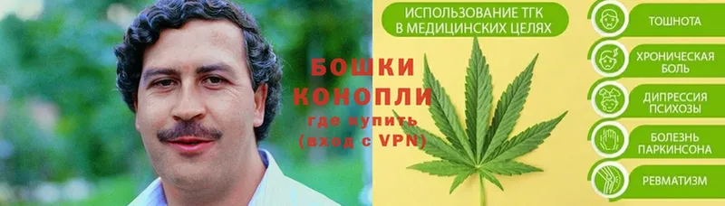 Конопля индика  Боготол 